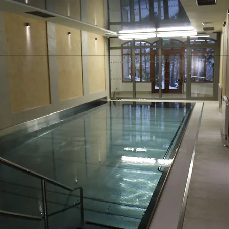 Smetana Hotel Karlovy Vary