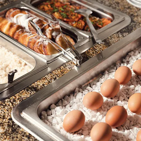 ホテル Smetana & Wellness 4*