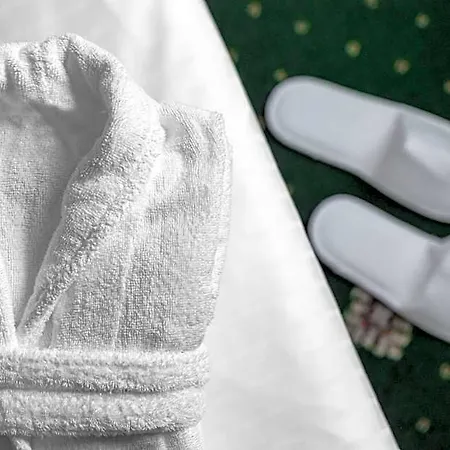 Smetana & Wellness Hotel 4*