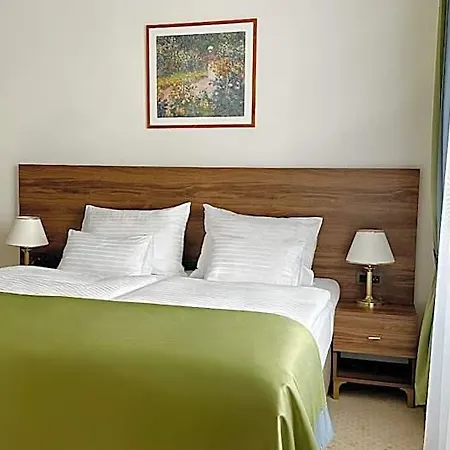 Smetana & Wellness Hotel 4*