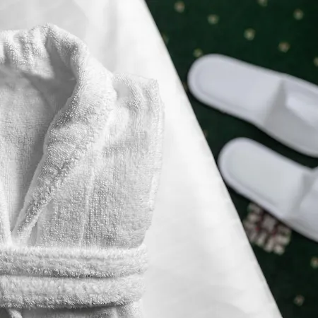 Smetana & Wellness Отель