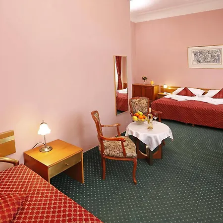 Smetana & Wellness ホテル 4*
