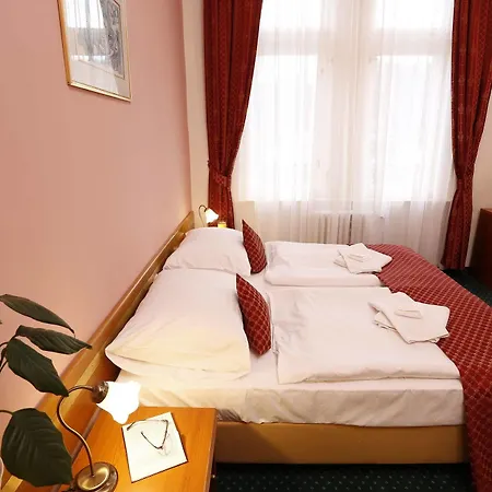 ホテル Smetana & Wellness 4*